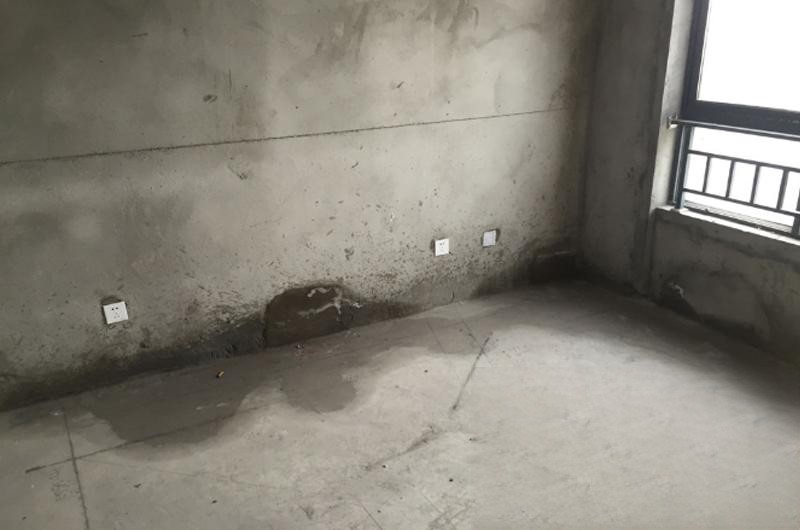 1673956297399054.jpg 321.jpg