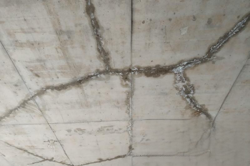 1673956573253083.jpg 314.jpg