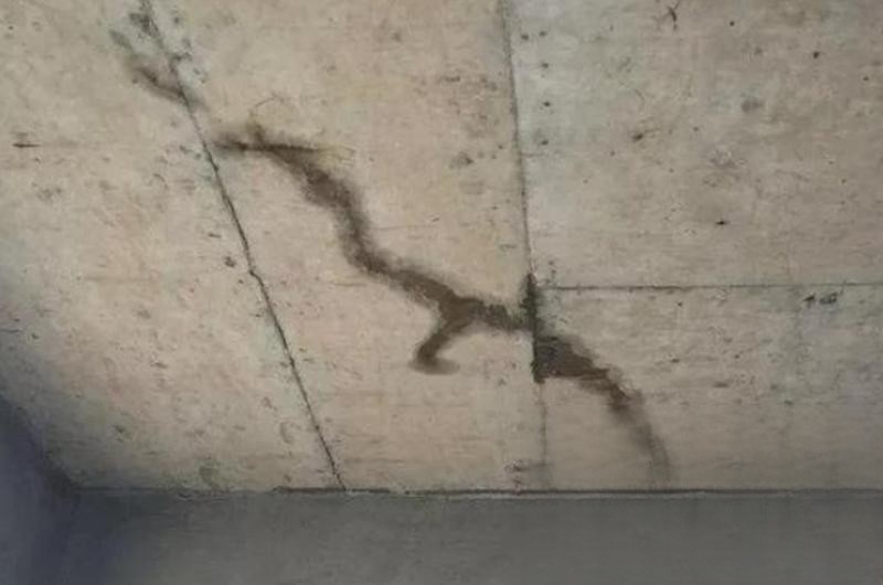 1673956737936441.jpg 317.jpg